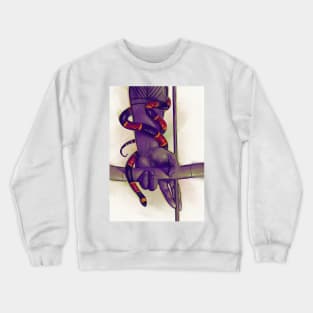 Coral Snake Crewneck Sweatshirt